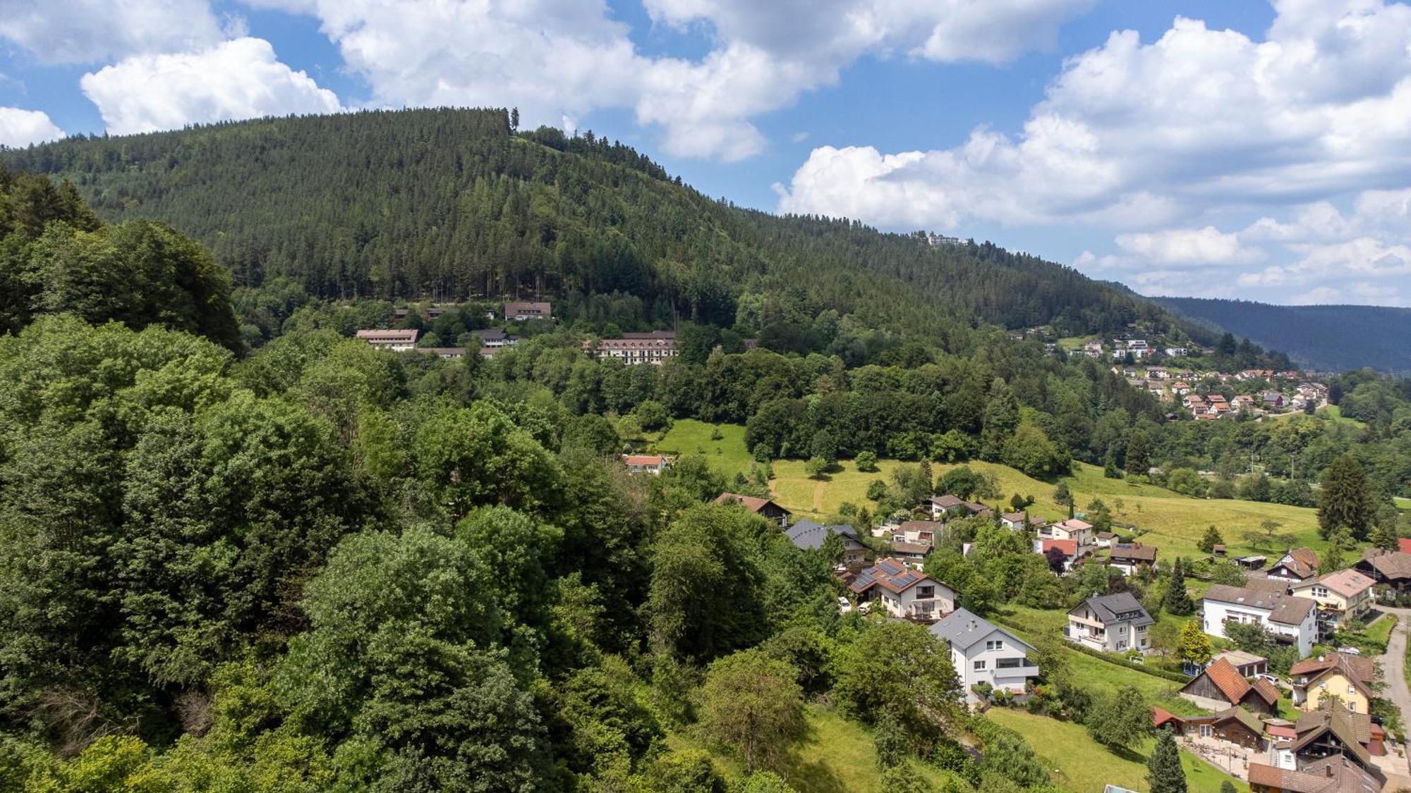 Black Forest Design Apartment Bad Wildbad Eksteriør bilde