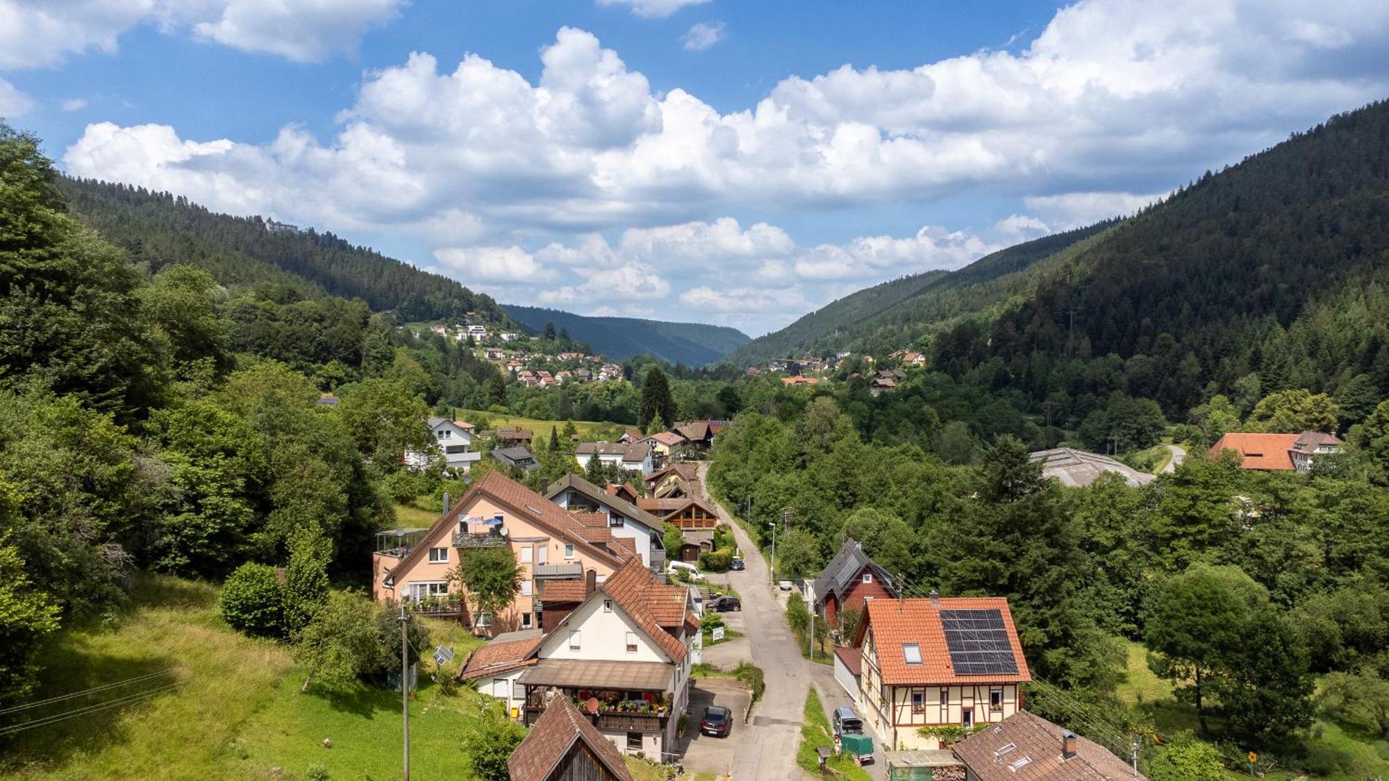 Black Forest Design Apartment Bad Wildbad Eksteriør bilde