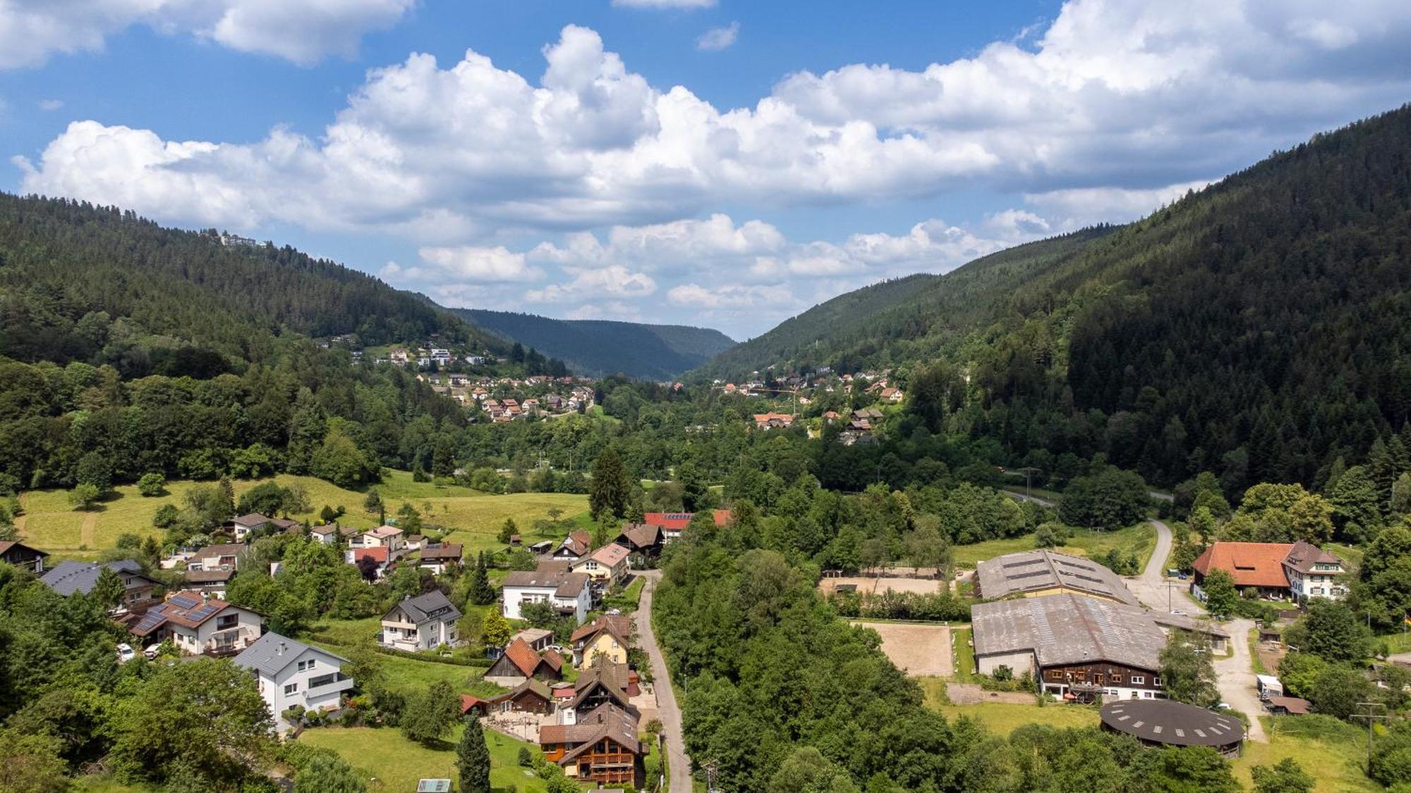 Black Forest Design Apartment Bad Wildbad Eksteriør bilde