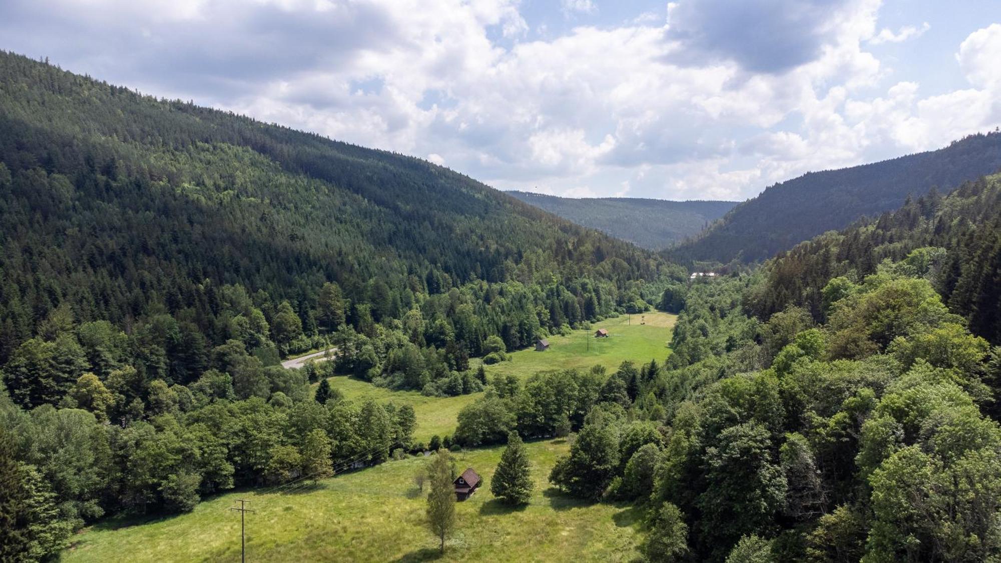 Black Forest Design Apartment Bad Wildbad Eksteriør bilde